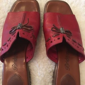 Brighton Red Slides